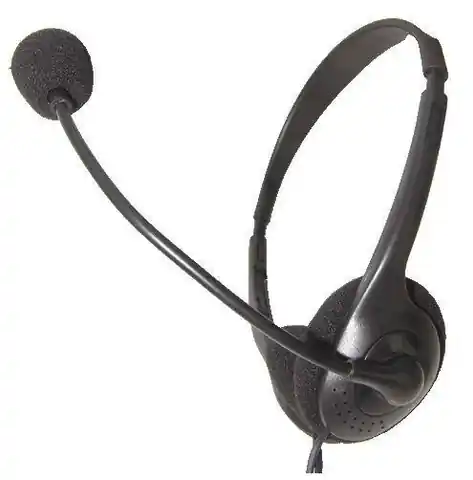 ⁨Logilink Stereo Headset Earphones with Microphone 2x 3.5 mm⁩ w sklepie Wasserman.eu