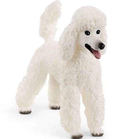 Large poodle at Wasserman.eu