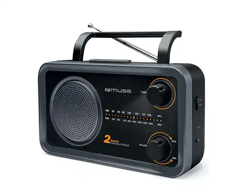 ⁨Muse 2-Band tragbares Radio M-06DS Grau, AUX in⁩ im Wasserman.eu