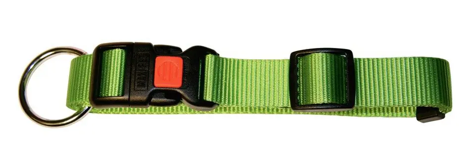 ⁨KERBL Miami Dog Collar, 20-35cm x 10mm, green [82060]⁩ at Wasserman.eu