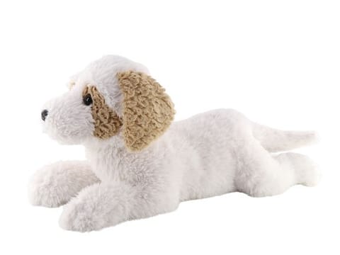 ⁨Havanesa Dog lying down 60 cm⁩ at Wasserman.eu