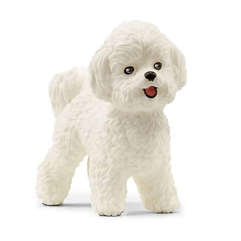 ⁨Pies Bichon Frise⁩ w sklepie Wasserman.eu