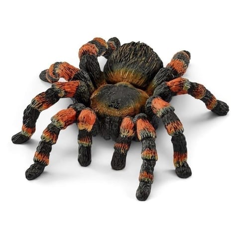 ⁨Tarantula⁩ w sklepie Wasserman.eu