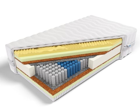 Frankhauer Materac multipocket memory z lateksem i kokosem Jazon (pokrowiec Aloe Vera, rozmiar 160 x 200) w sklepie Wasserman.eu