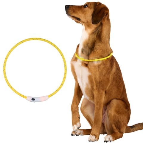 ⁨OBROŻA LEDOWA ŚR 20CM REGULOWANA WODOODPORNA USB-C DOGS COLLECTION⁩ w sklepie Wasserman.eu