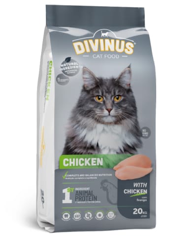 ⁨Divinus Cat Meat Chicken dla kotów dorosłych 2kg⁩ w sklepie Wasserman.eu