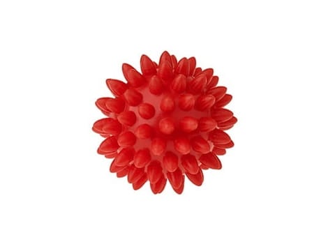⁨PIŁKA REHABILITACYJNA 5,4CM⁩ w sklepie Wasserman.eu
