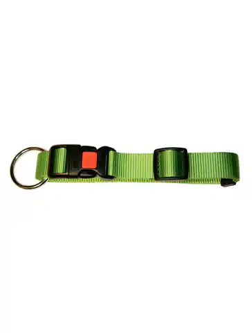 ⁨KERBL Miami Dog Collar, 30-45cm x 15mm, green [82062]⁩ at Wasserman.eu