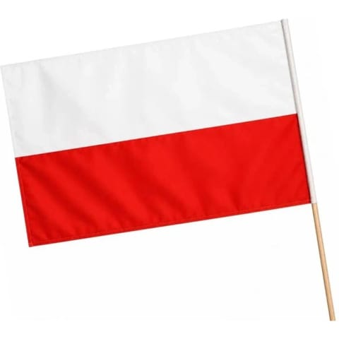 ⁨Flaga polski, chorągiewka FL1 68x110cm BREWIS⁩ w sklepie Wasserman.eu
