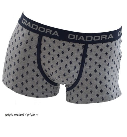 ⁨shorts DIADORA DIB 05923S (Grey colour, Size M (38))⁩ at Wasserman.eu