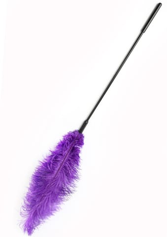 ⁨Double Feather Tickler⁩ w sklepie Wasserman.eu