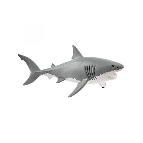 ⁨Great White shark⁩ at Wasserman.eu
