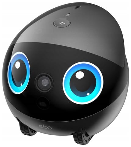 ⁨Robot towarzyszący ENABOT WH287332G⁩ w sklepie Wasserman.eu
