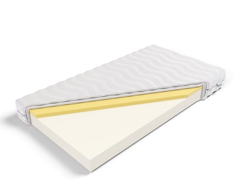 ⁨Frankhauer Materac piankowy memory Erato (pokrowiec SilverActive, rozmiar 100 x 200)⁩ w sklepie Wasserman.eu