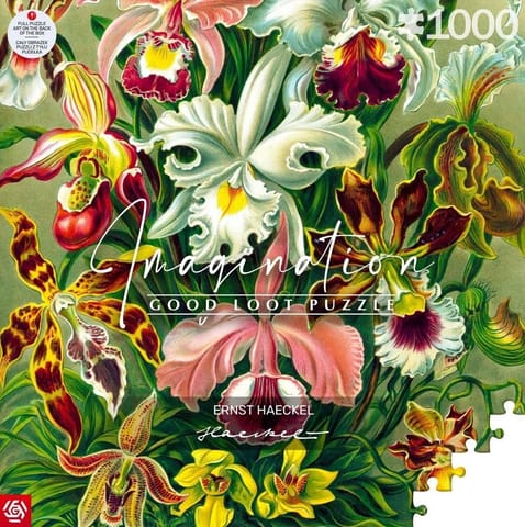 ⁨Puzzle 1000 Ernst Haeckel Orchidea / Orchid⁩ w sklepie Wasserman.eu