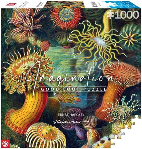 ⁨Puzzle 1000 Ernst Haeckel: Stworzenia morskie⁩ w sklepie Wasserman.eu