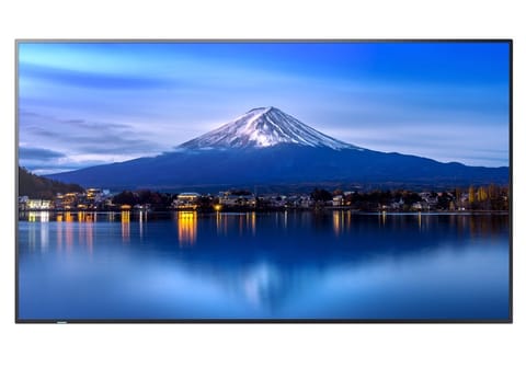 ⁨MultiSync P556 Large Format Monitor - 55-inch UHD, 700 cd/m2, 24/7 Operation⁩ at Wasserman.eu