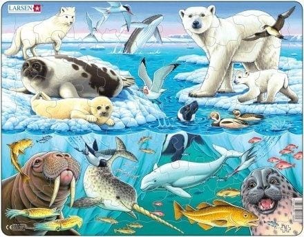 ⁨Układanka Larsen Maxi Arctic Ice 75el⁩ w sklepie Wasserman.eu