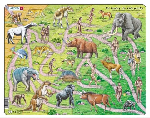 ⁨Układanka Maxi The road from ape to human 83el⁩ w sklepie Wasserman.eu