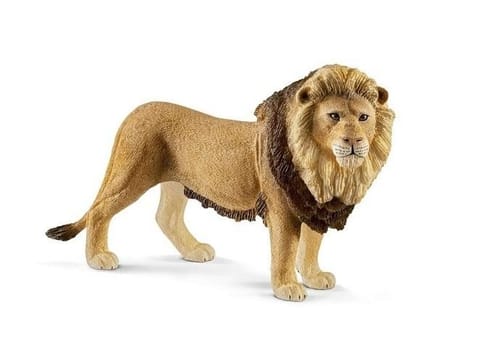 ⁨Lion⁩ at Wasserman.eu