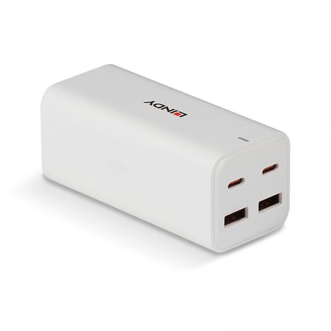 Lindy 100W 4-Port USB Type A & C w sklepie Wasserman.eu