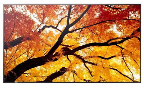 ⁨Monitor MultiSync M502 50 inches 550cd/m2 24/7⁩ at Wasserman.eu