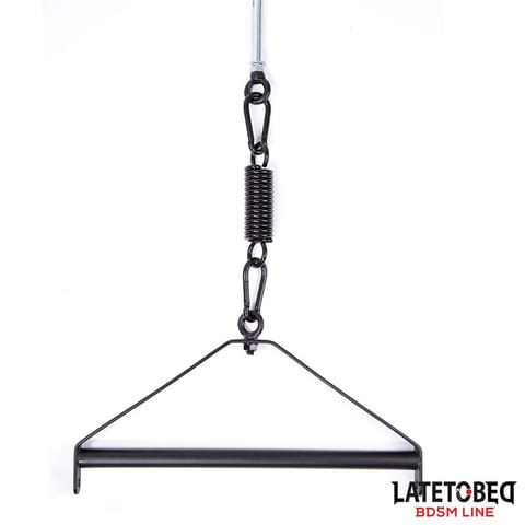 Ceiling Swing w sklepie Wasserman.eu