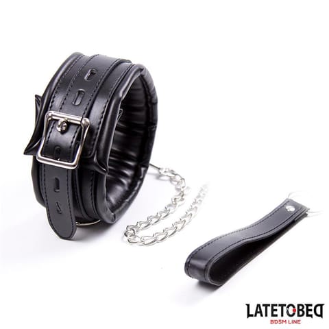 Padded Collar with Leash w sklepie Wasserman.eu