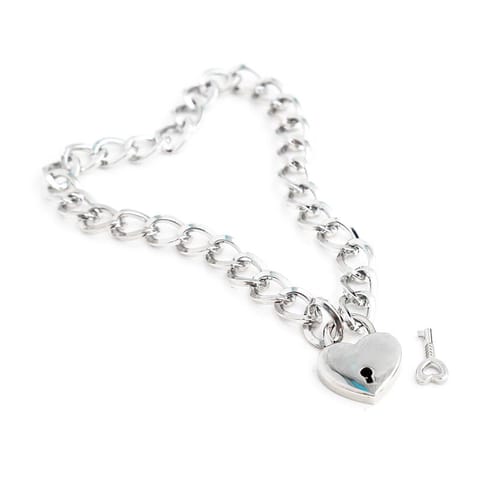 Collar with Lock Metal Size M 44 cm w sklepie Wasserman.eu
