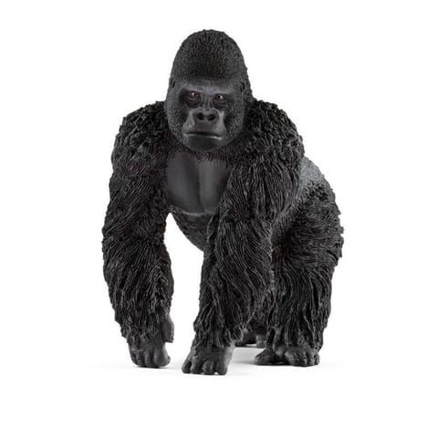 ⁨Gorilla⁩ at Wasserman.eu