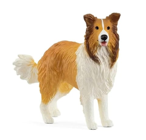 ⁨Collie⁩ w sklepie Wasserman.eu