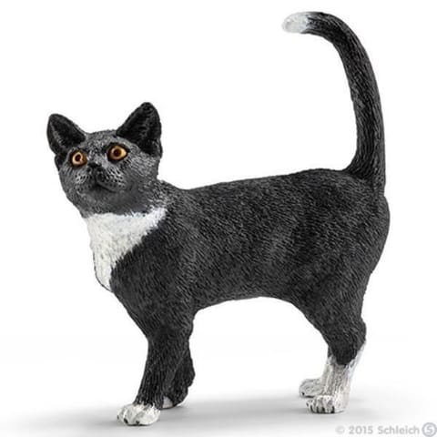 ⁨Standing cat⁩ at Wasserman.eu
