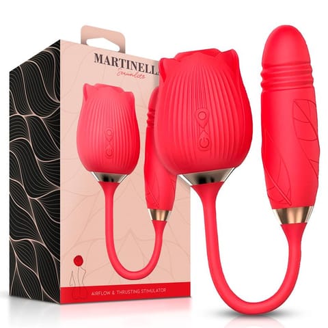 ⁨Airflow Rose and Thrusting Stimulator Egg USB⁩ w sklepie Wasserman.eu