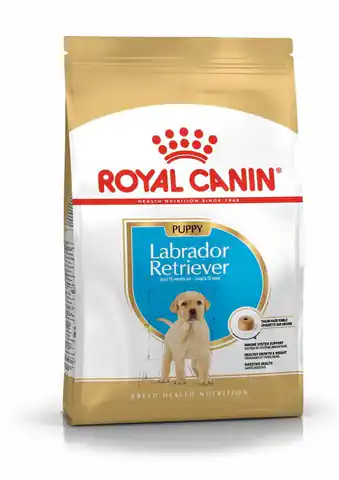 ⁨ROYAL CANIN BHN Labrador Retriever Puppy - dry puppy food - 3kg⁩ at Wasserman.eu