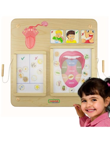 ⁨MASTERKIDZ Tablica Edukacyjna Zmysł Smaku Montessori⁩ w sklepie Wasserman.eu