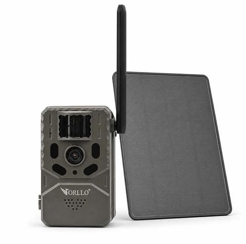 ⁨Fotopułapka - Kamera leśna - Orllo Huntercam 6 SIM z zasilaniem solarnym⁩ w sklepie Wasserman.eu