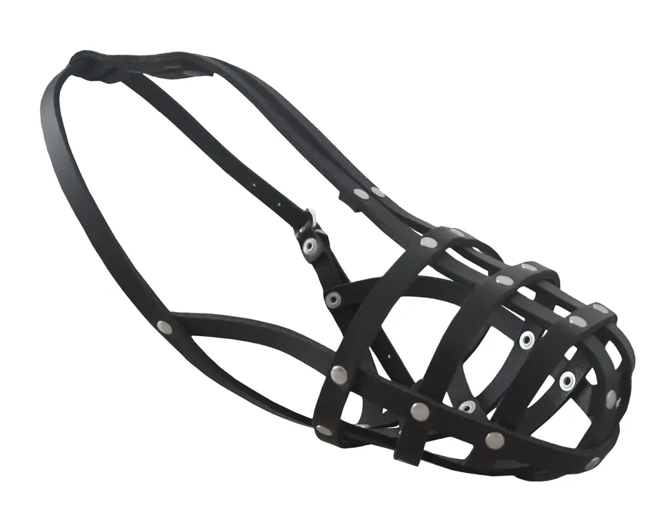 ⁨CHABA Leather Muzzle 1 - Poodle⁩ at Wasserman.eu