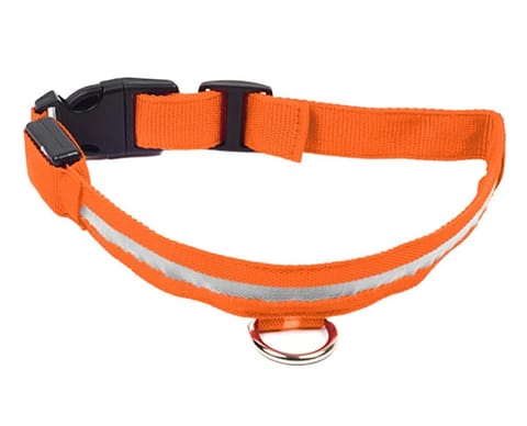 ⁨AG232C Glow collar led 34-42cm orang⁩ at Wasserman.eu