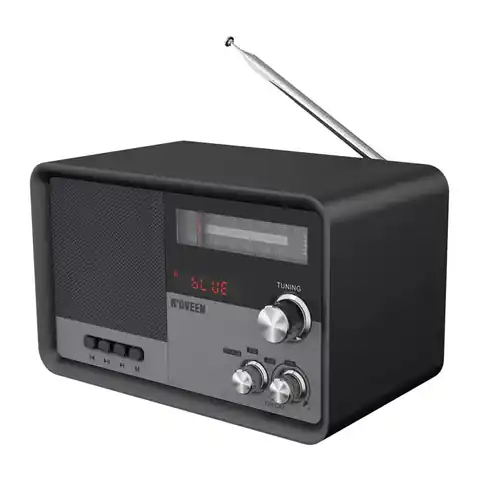 ⁨Tragbares Radio N'oveen PR950 Schwarz⁩ im Wasserman.eu