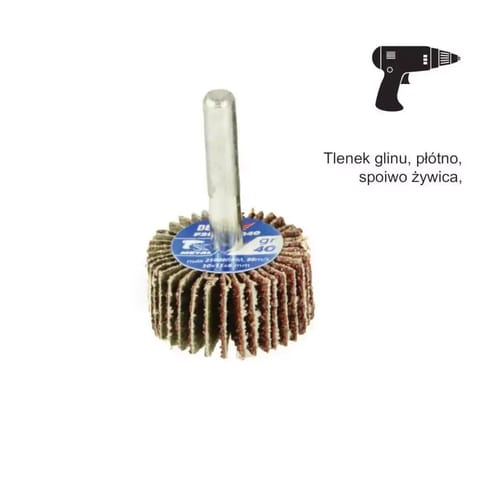 ⁨Ściernica trzpieniowa 30x15x6mm, gr120⁩ w sklepie Wasserman.eu