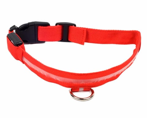 ⁨AG232 Led luminous collar 34-42cm red⁩ at Wasserman.eu