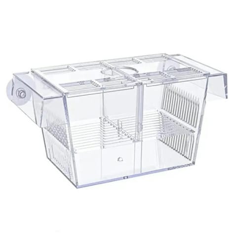 ⁨DA361A Kotnik do akwarium duży przezroczysty 21x9x9.5cm⁩ w sklepie Wasserman.eu