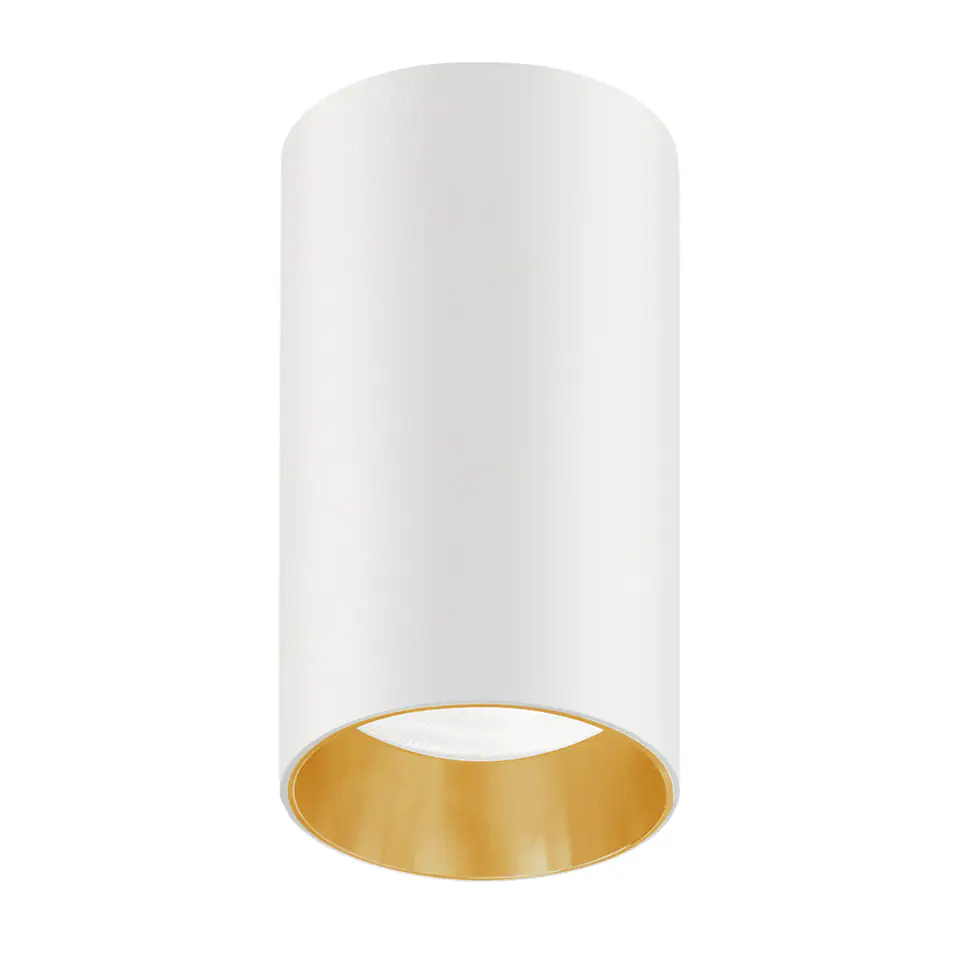 ⁨Surface-mounted luminaire / Maclean tube, round, aluminium, GU10, 55x100mm, white/gold, MCE458 W/G⁩ at Wasserman.eu