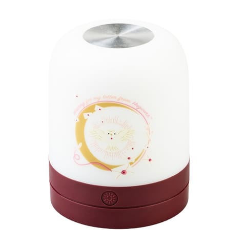 ⁨Harry Potter - Lampka ambientowa LED dla dzieci bezprzewodowa USB-C z regulacją jasności⁩ w sklepie Wasserman.eu