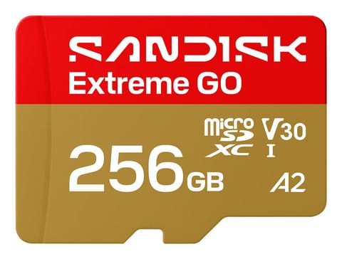 ⁨Sandisk Extreme Go 256 Gb Microsdxc⁩ w sklepie Wasserman.eu