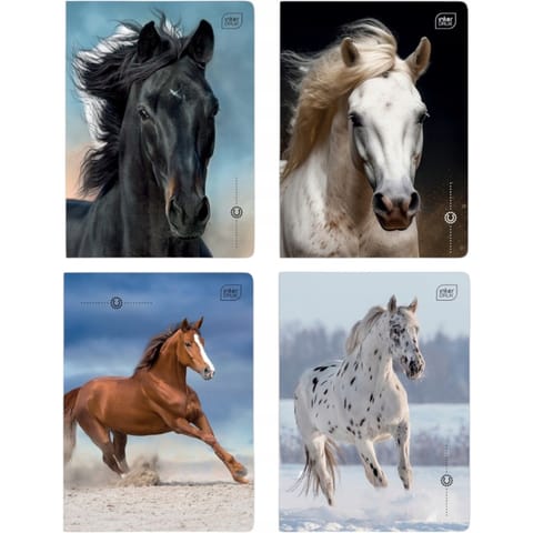⁨Zeszyt A5 16k linia 70g UV Wild Horses INTERDRUK⁩ w sklepie Wasserman.eu