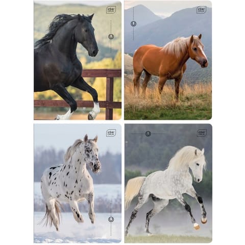 ⁨Zeszyt A5 32k 3-linia kol. 70g UV Wild Horses INTERDRUK⁩ w sklepie Wasserman.eu