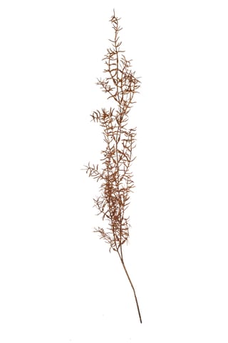 ⁨Artificial plant - asparagus copper_Aluro⁩ at Wasserman.eu