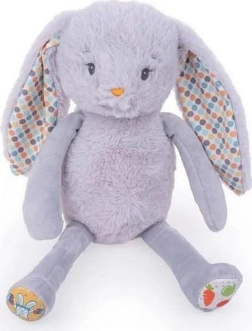 ⁨Educational rabbit Frank⁩ at Wasserman.eu