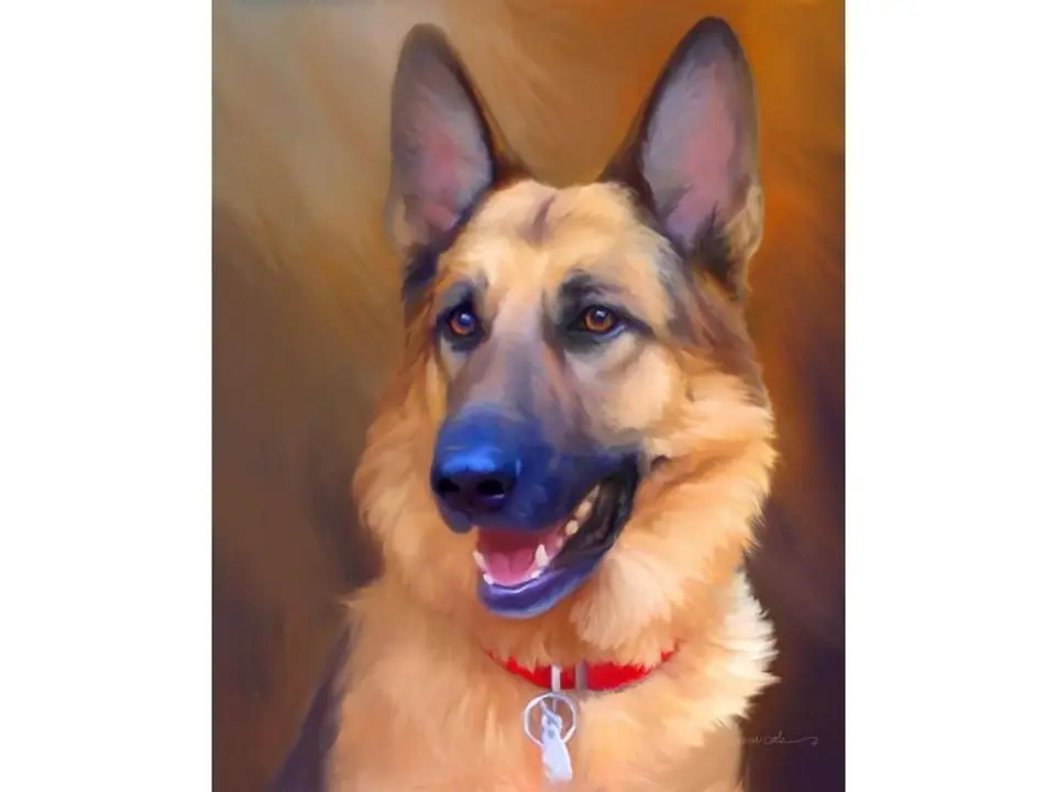 ⁨Diamond Embroidery, Painting, Diamond Mosaic Diamond Painting, DOG - GERMAN SHEPHERD 30x40cm⁩ at Wasserman.eu